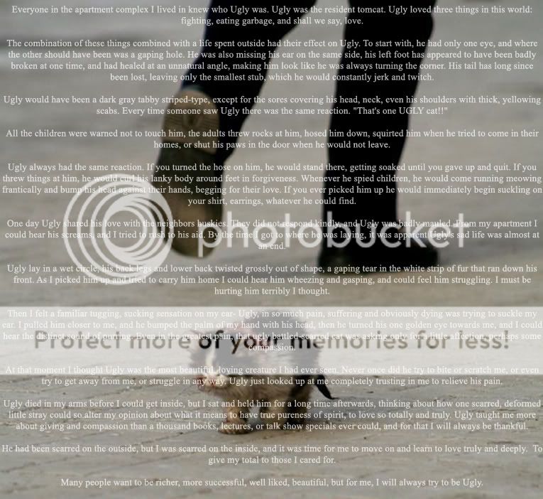 1269482703075.jpg Ugly the cat ugly cat pictures. 1269482703075.jpg Ugly the cat