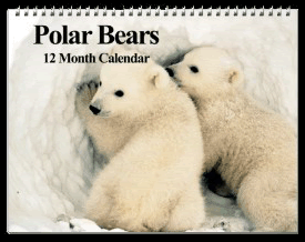 2012 Polar Bear Calendar