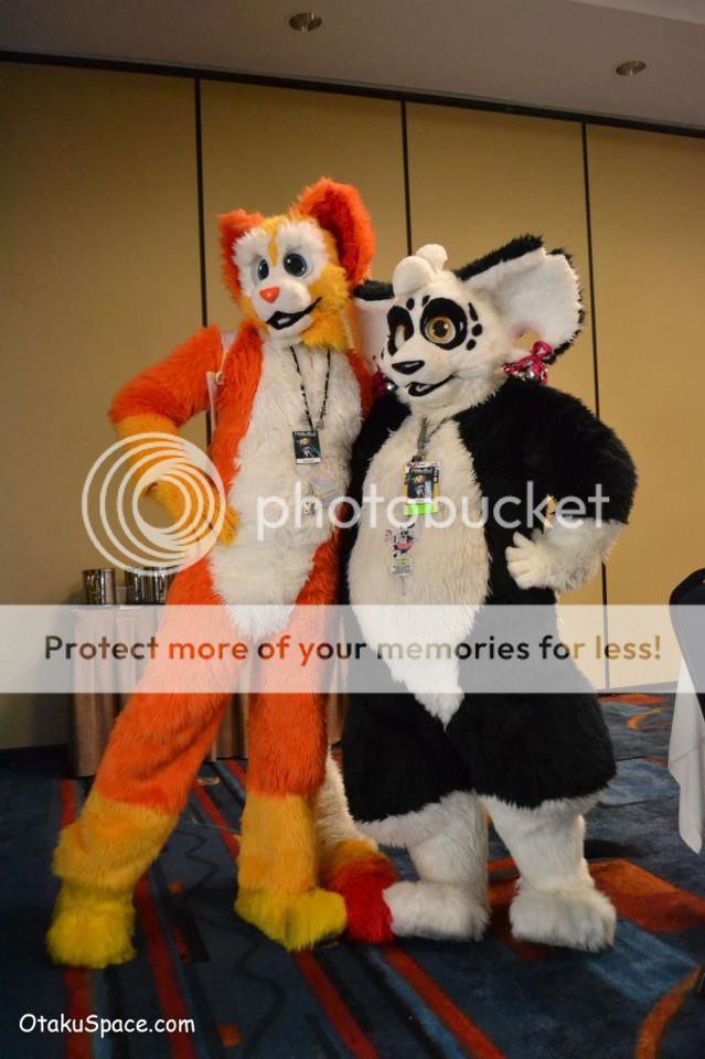 Posted Image