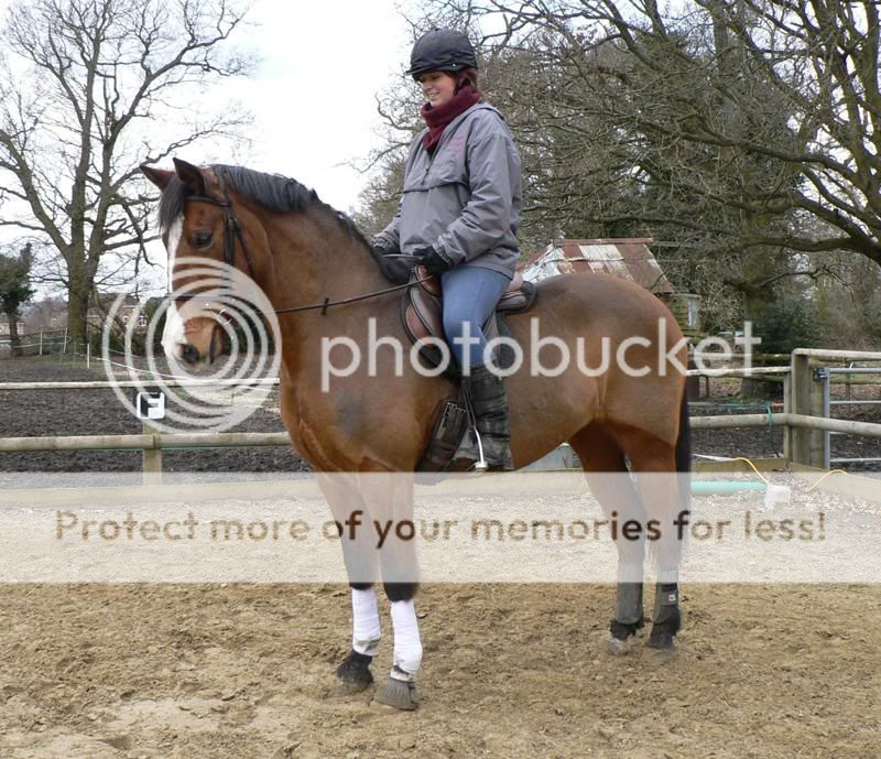 Show me your TB x Welsh Cobs Page 3