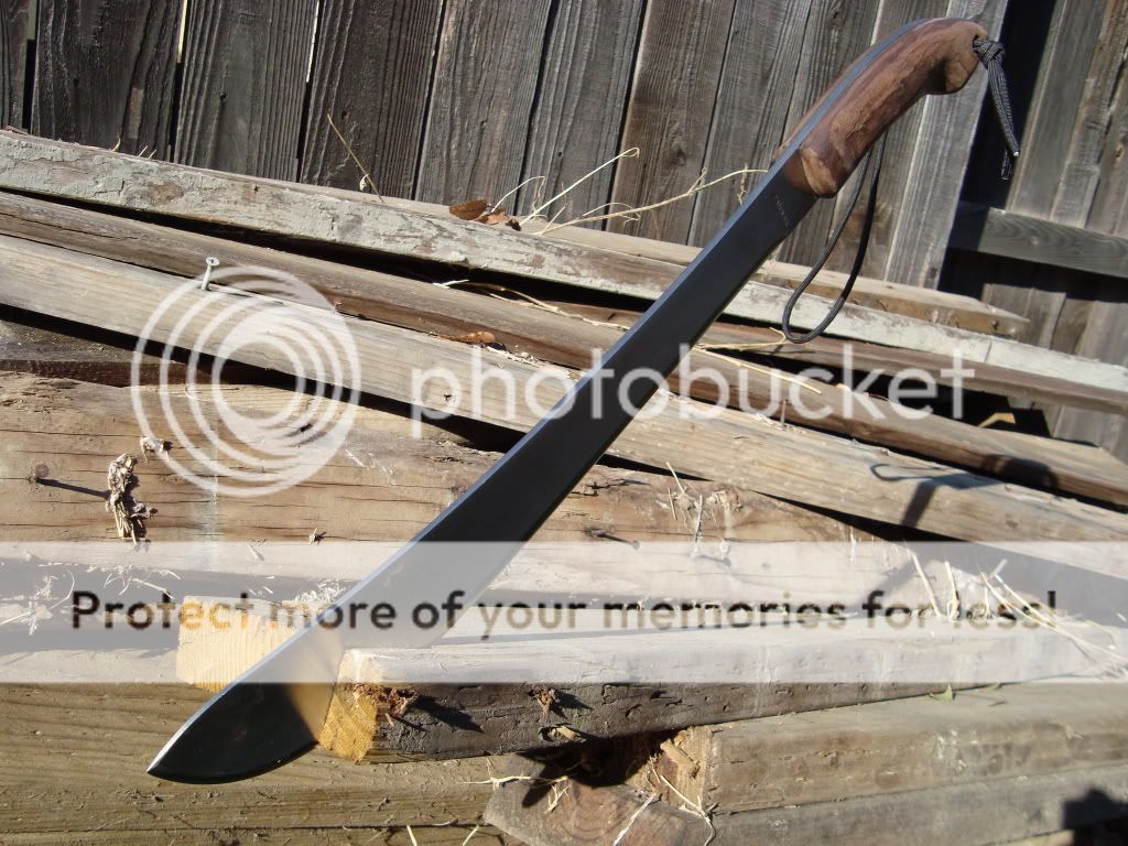 [Linked Image from i1002.photobucket.com]