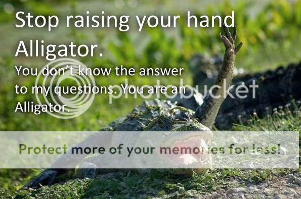 Posted Image