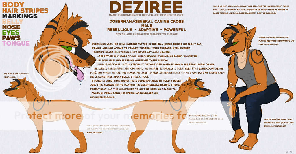Deziree%20PI%20VERSION_zpsjsmmicdj.png