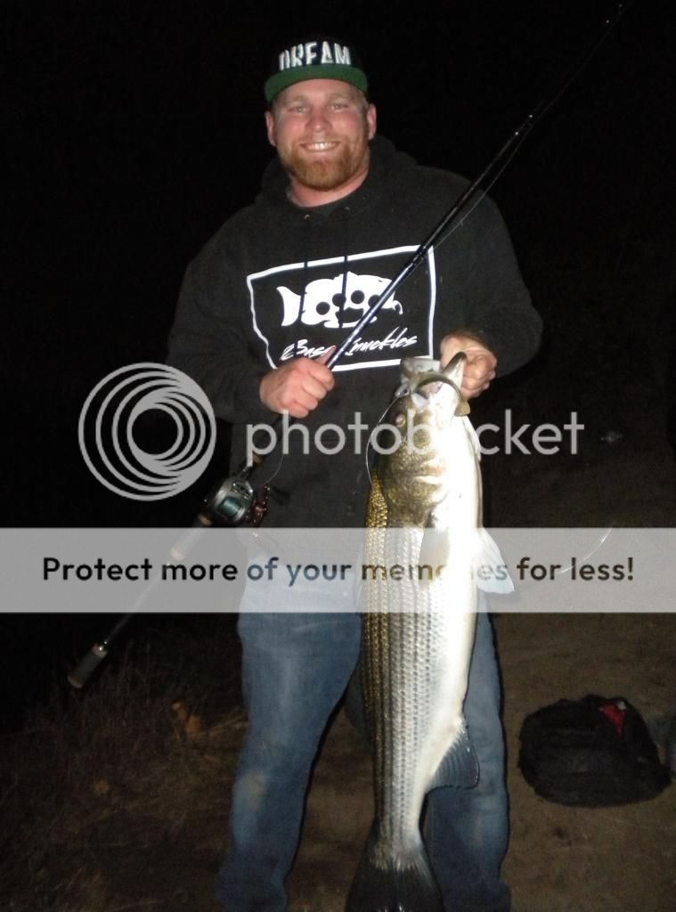 okuma fishing tackle shadow stalker