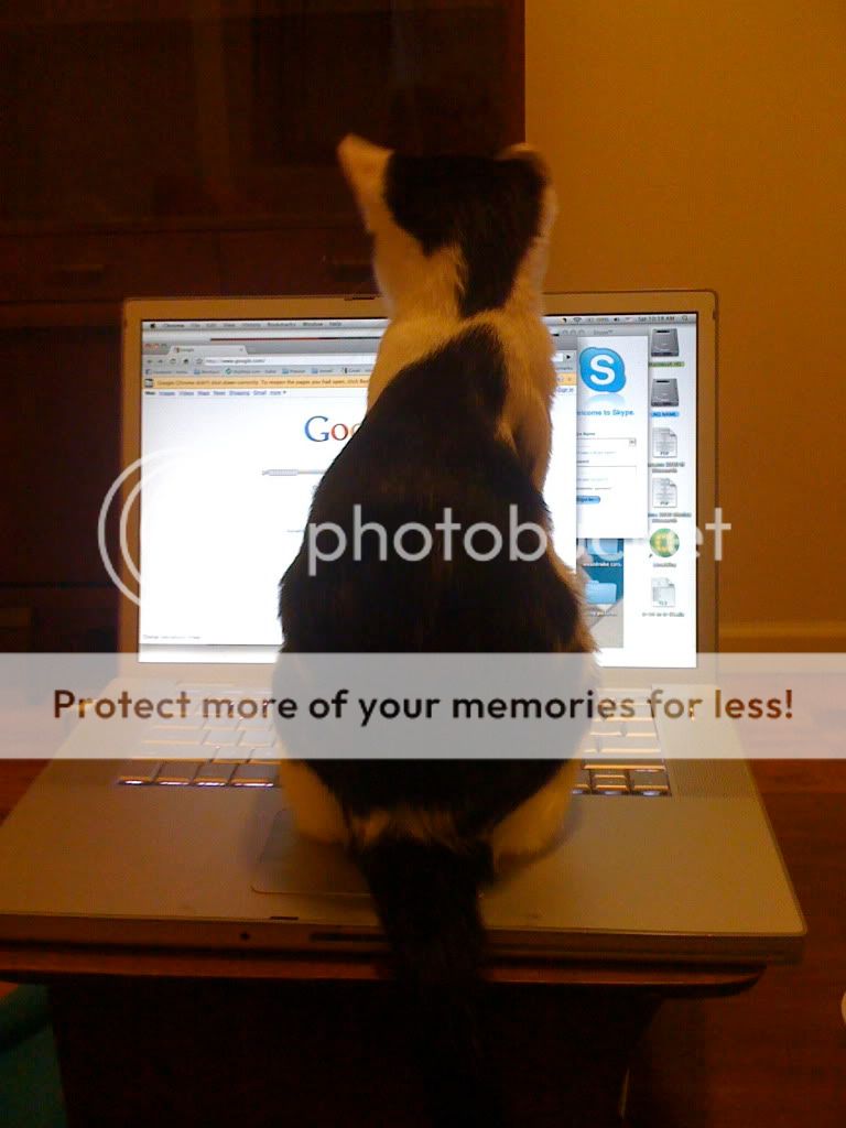 Photobucket