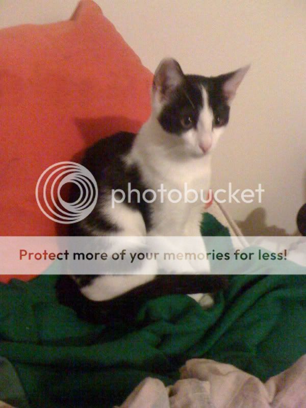 Photobucket