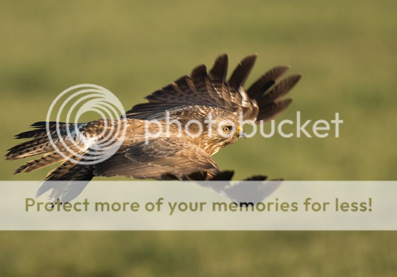 Fotografie