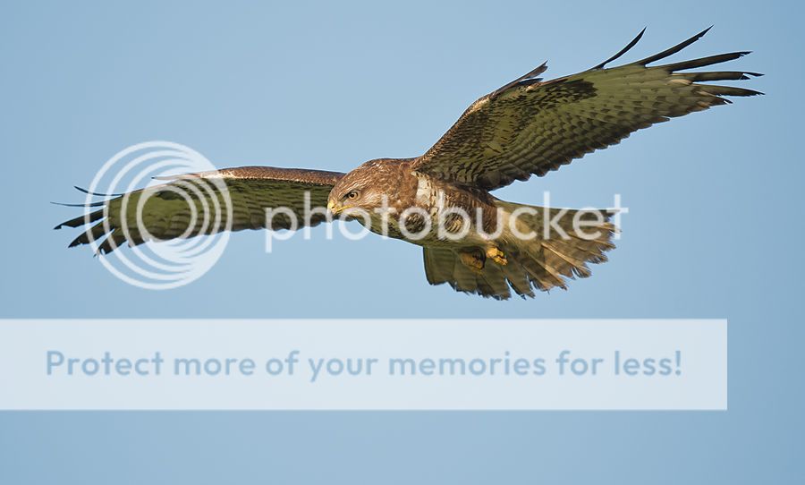 Fotografie