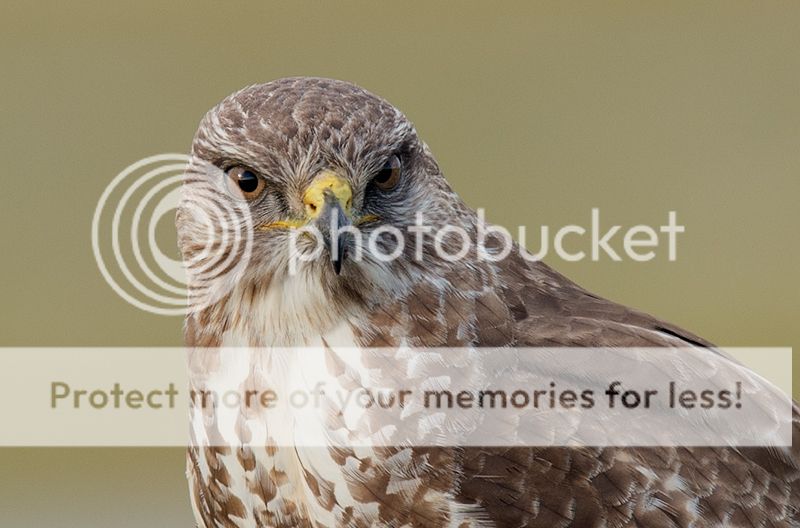 Fotografie