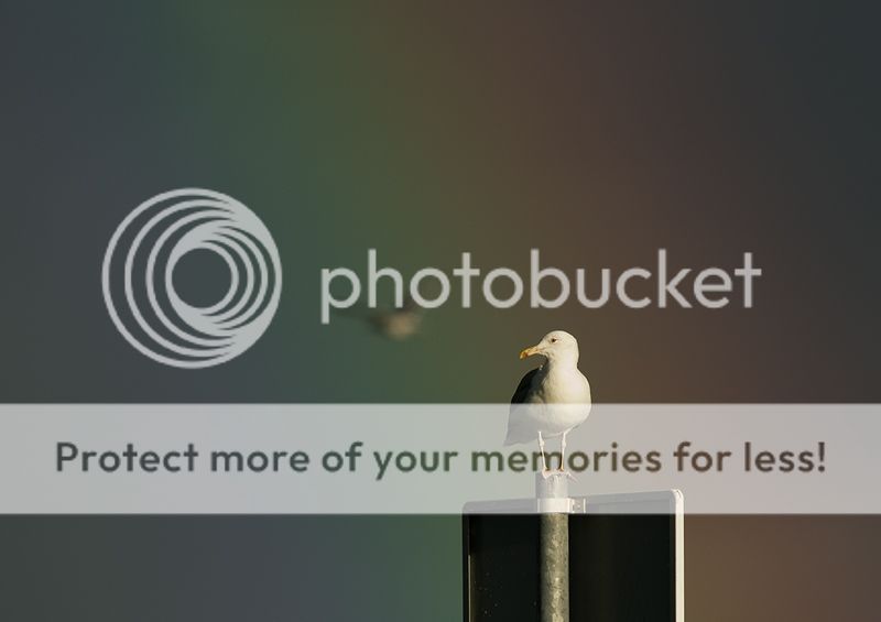 Fotografie