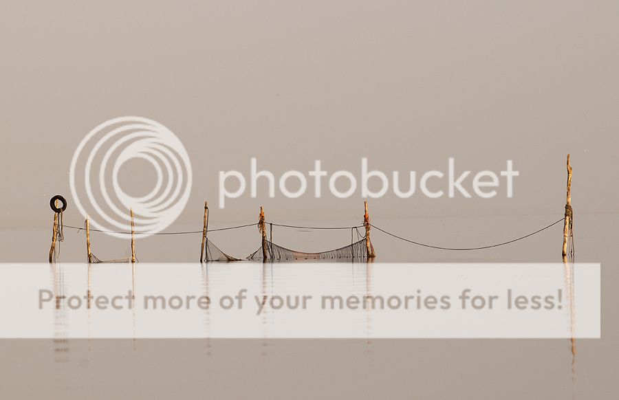 Fotografie