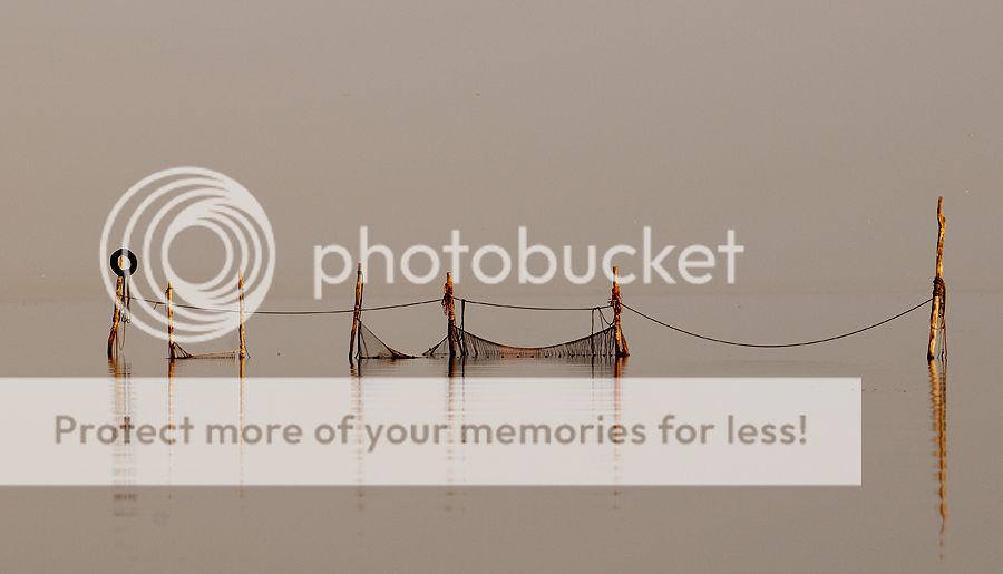 Fotografie