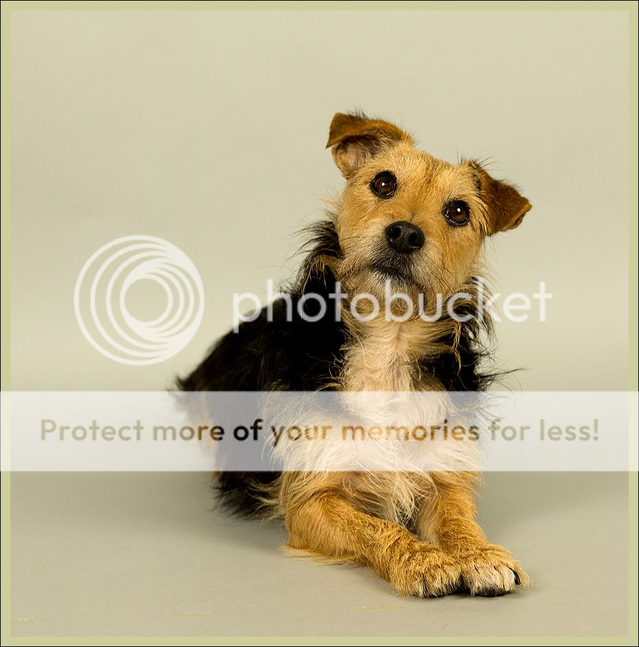 Fotografie