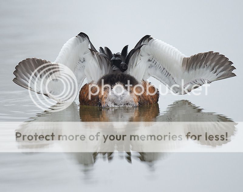 Fotografie