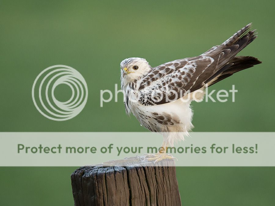 Fotografie