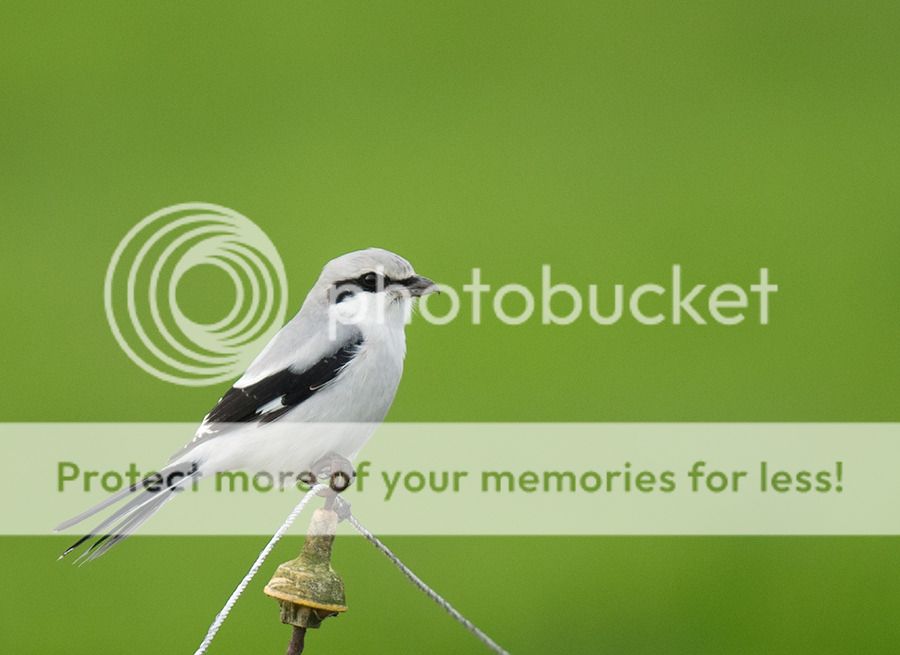 Fotografie