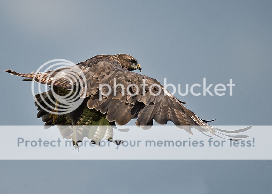 Fotografie