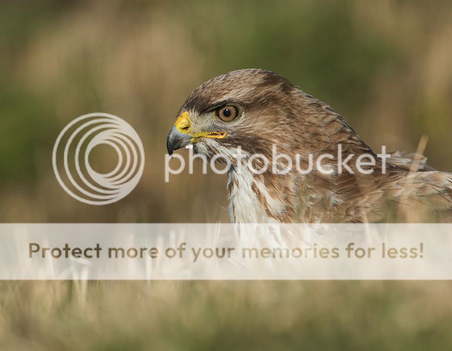 Fotografie