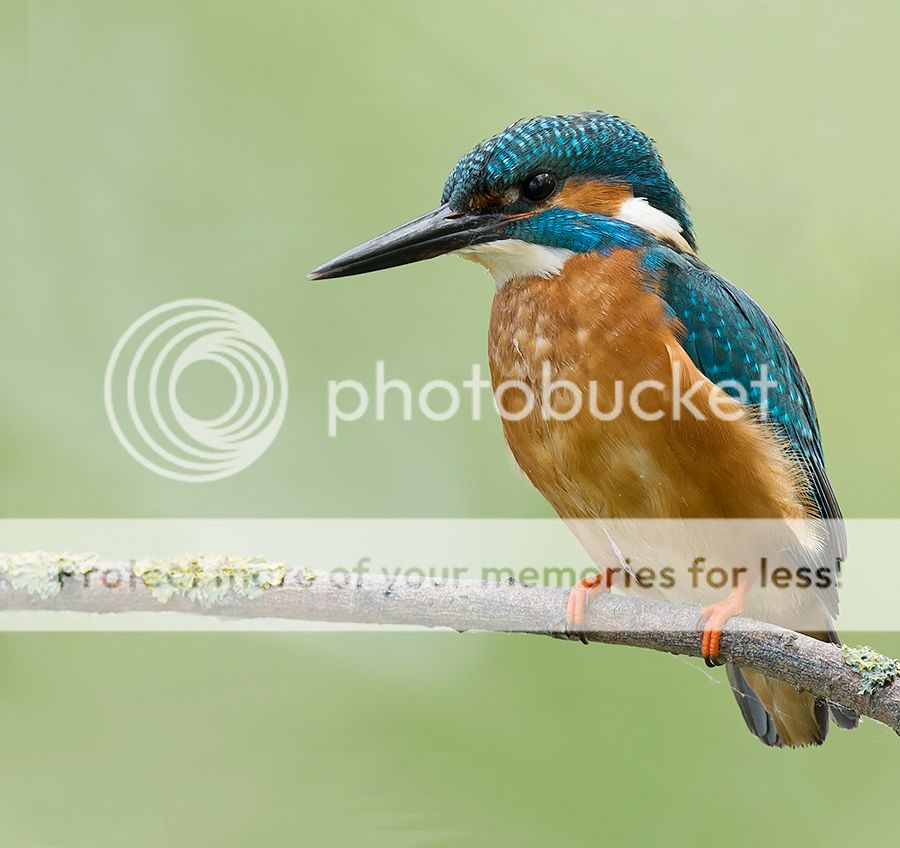 Fotografie