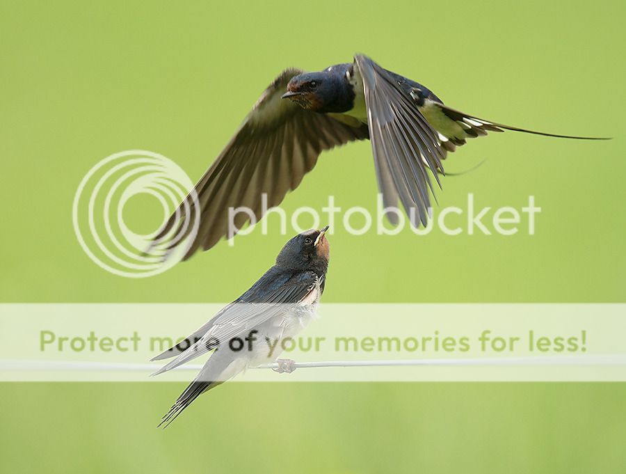 Fotografie