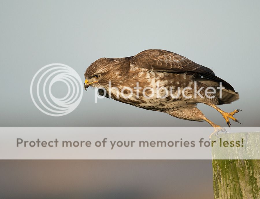 Fotografie
