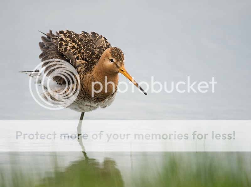 Fotografie