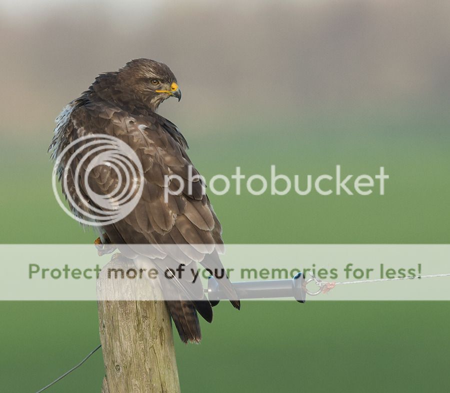 Fotografie