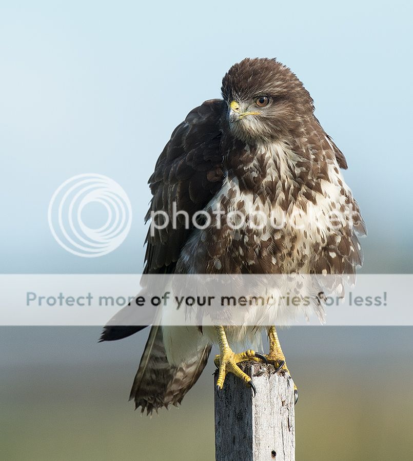 Fotografie