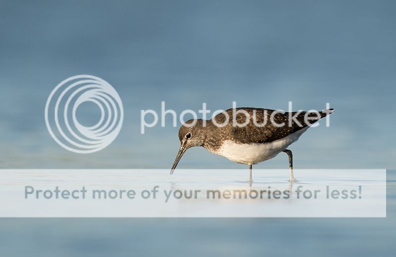Fotografie