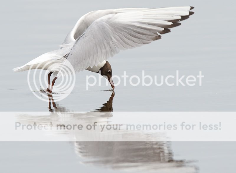 Fotografie