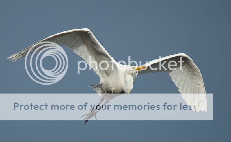 Fotografie
