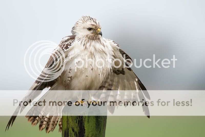 Fotografie
