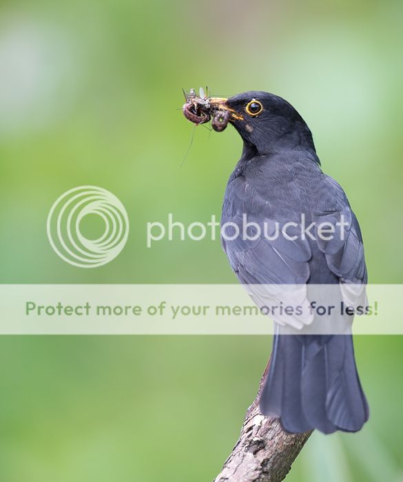 Fotografie