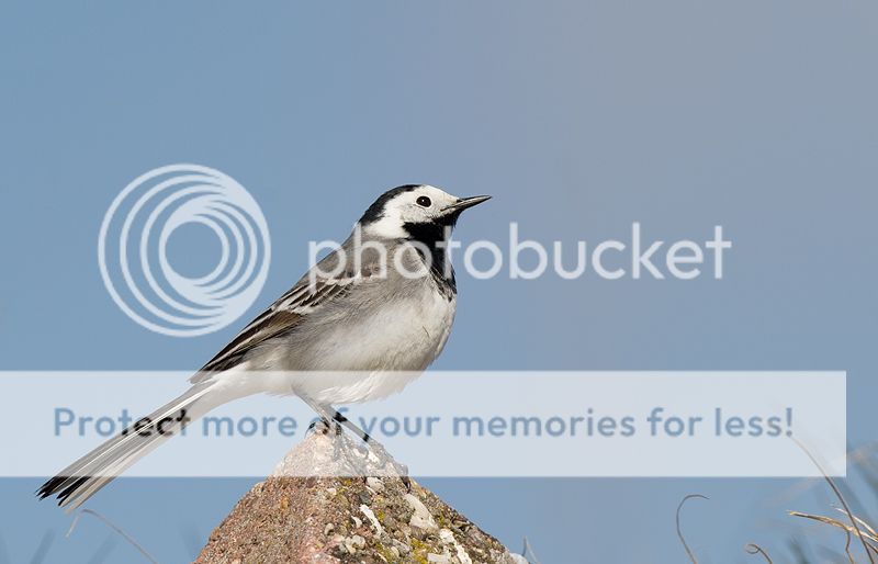 Fotografie