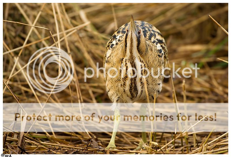 Fotografie