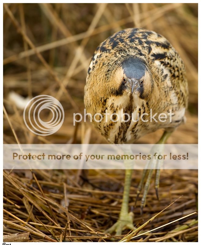 Fotografie