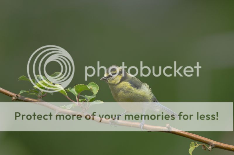 Fotografie