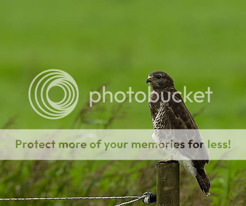 Fotografie