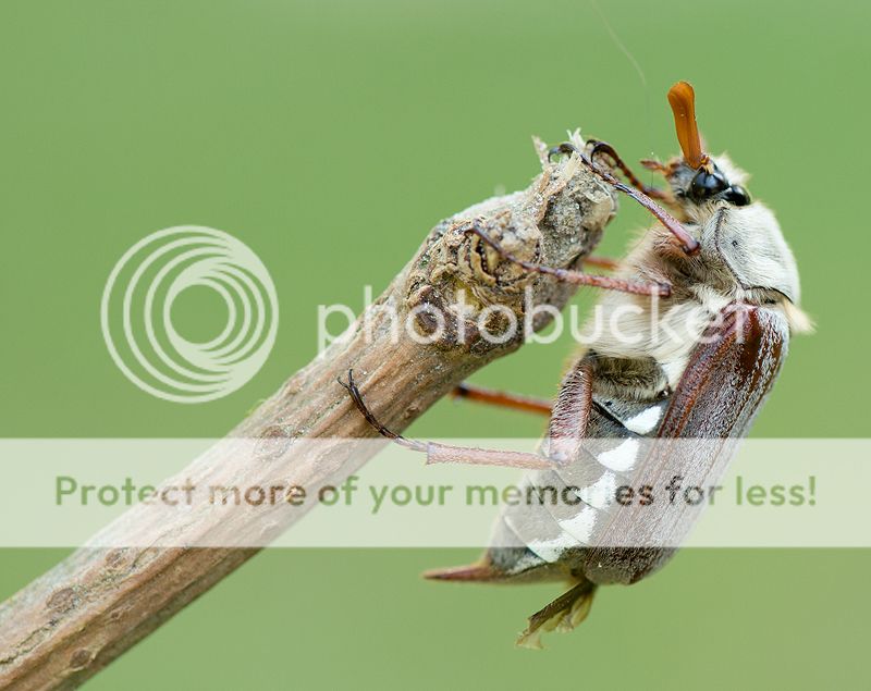 Fotografie