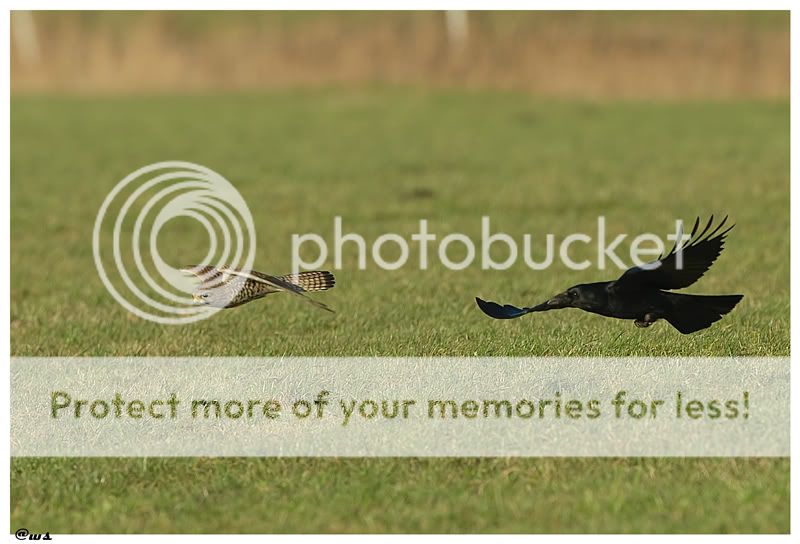 Fotografie