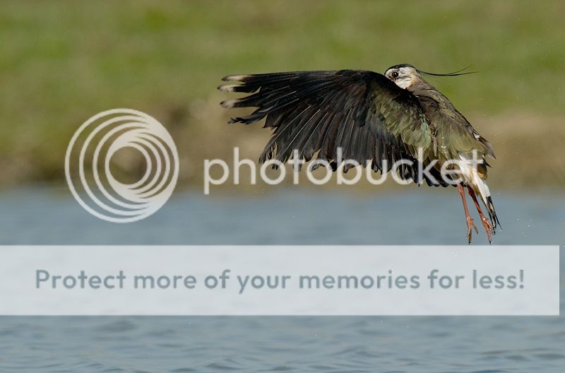 Fotografie