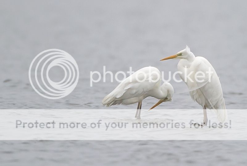 Fotografie