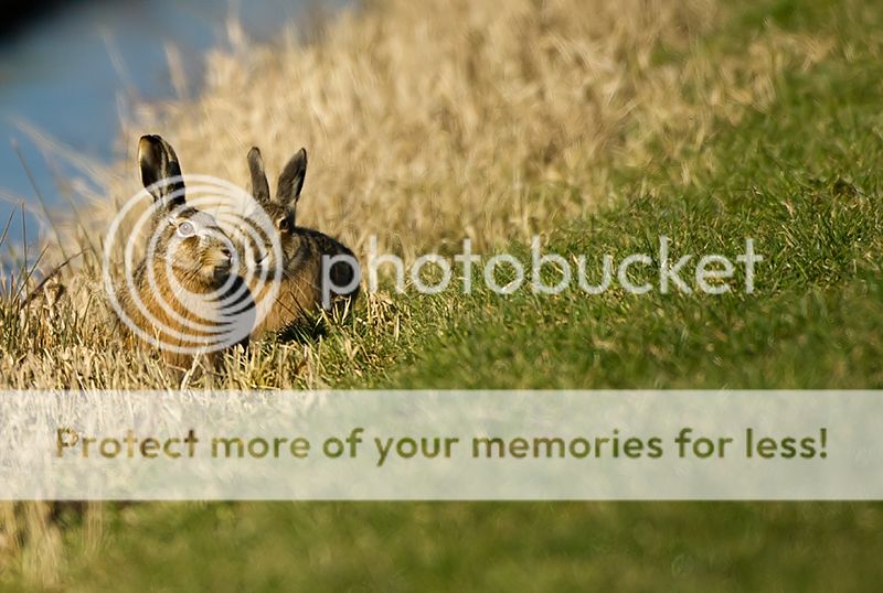 Fotografie