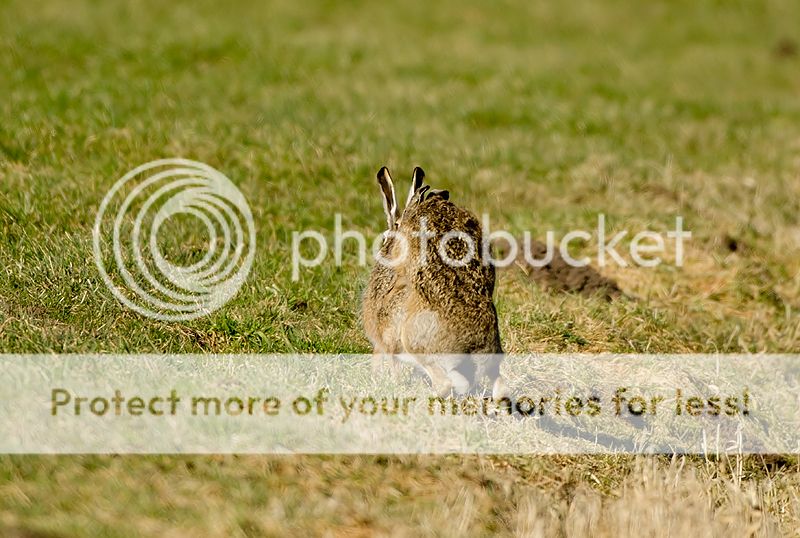Fotografie