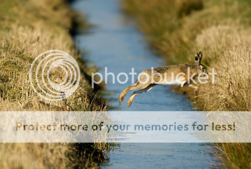 Fotografie