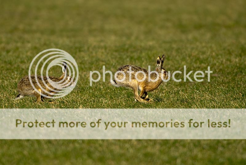 Fotografie