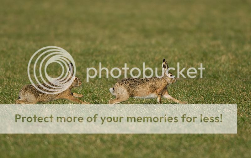 Fotografie