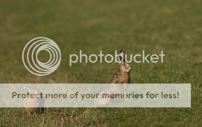 Fotografie