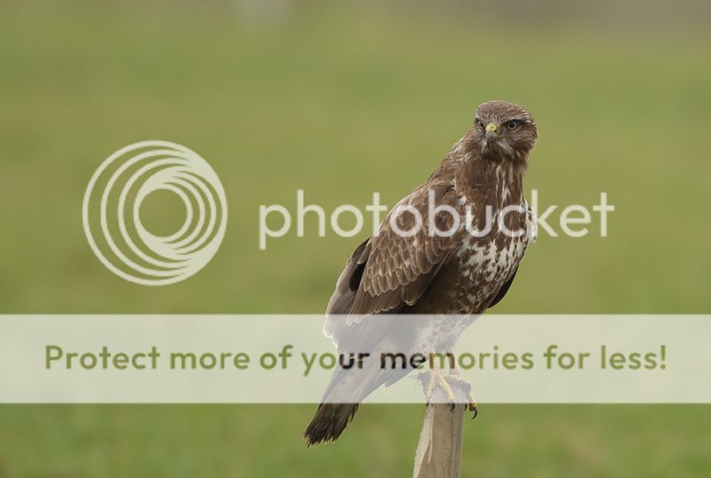 Fotografie