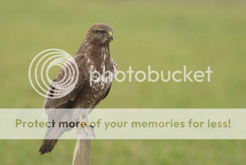 Fotografie